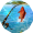 Fishing Clash