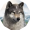 Wolf Game: Wild Animal Wars