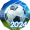 Top Football Manager 2024