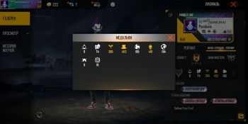 Аккаунт Garena Free Fire / Garena Free Fire MAX: №109