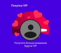 Likerro : VIP статус на 6 месяцев