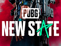 https://prisse-market.ru/catalog/pubg-new-state